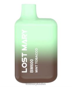 LOST MARY Vape Kaufen - P6LVB124 Minztabak LOST MARY BM600 Einweg-Vapor